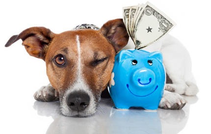 imgi_35_savings